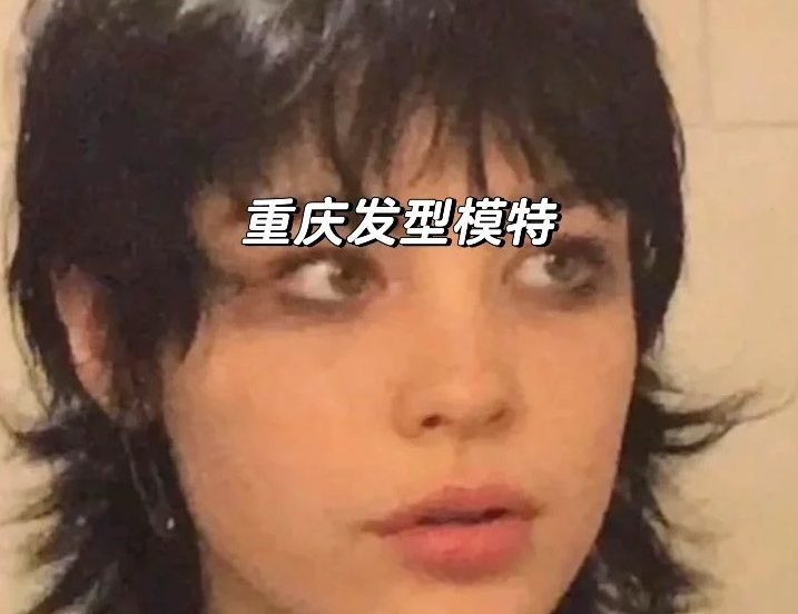 静安区花店分布 · 国际生活场景