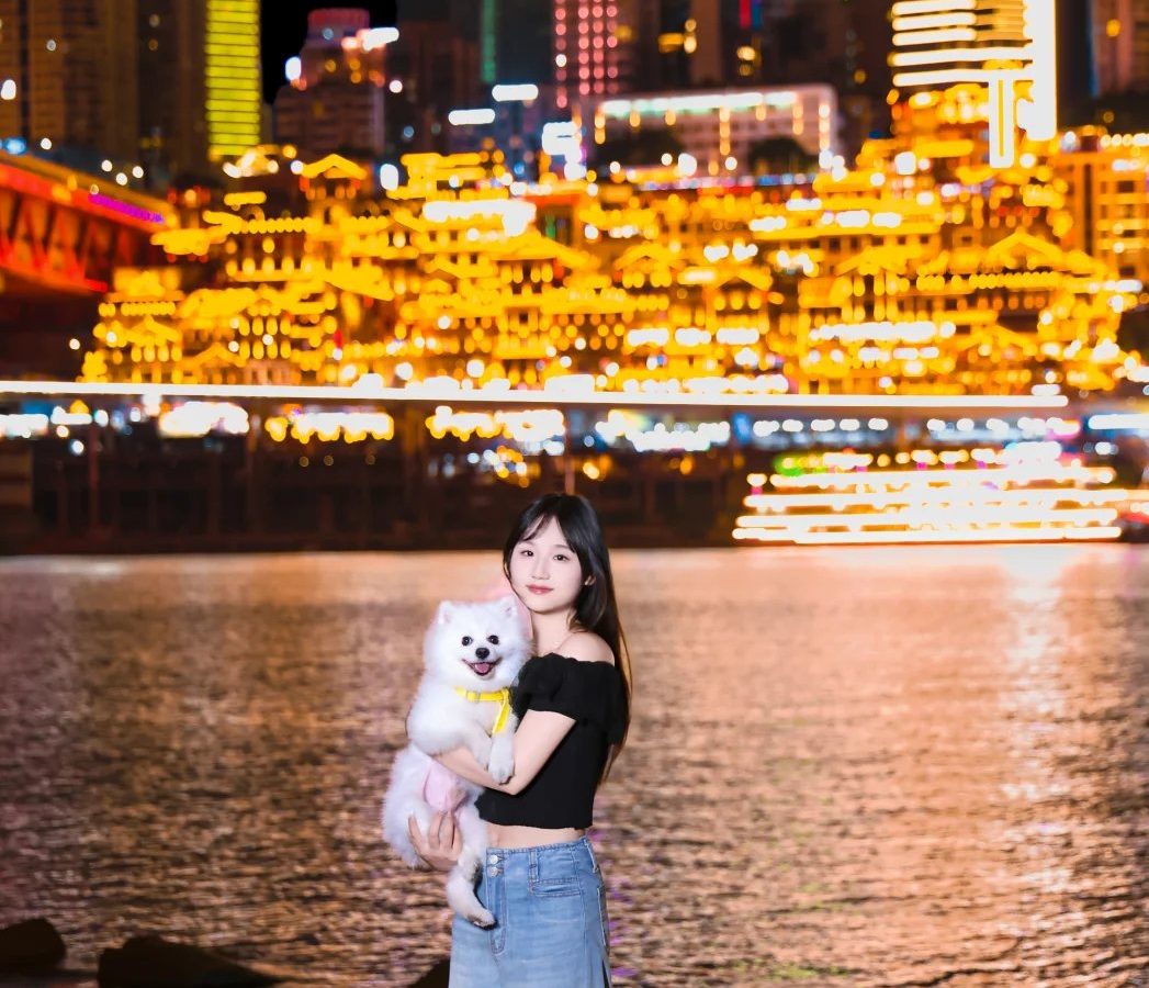 道歉送什么花 · 花材场景