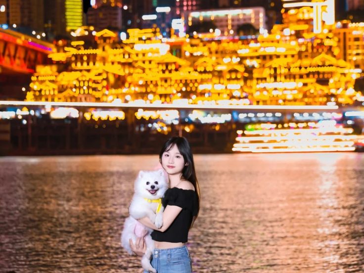 道歉送什么花 · 花材场景